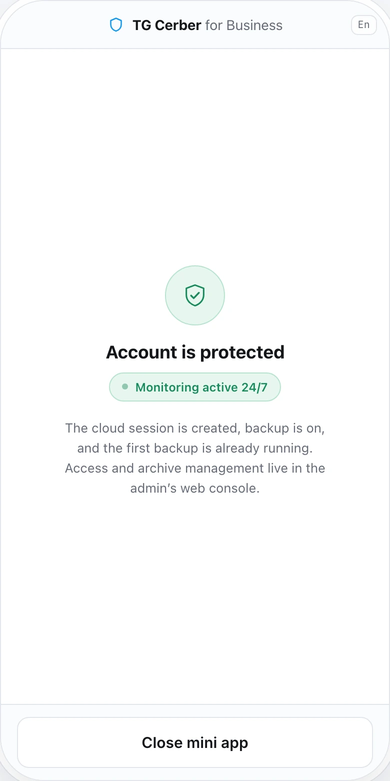 TG Cerber mini app — protection status